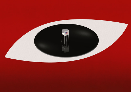 The Crucial Role of Campaign Staff and Volunteers in Southeast Texas Elections